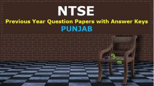 ntse-previous-year-question-papers-with-answer-keys-punjab