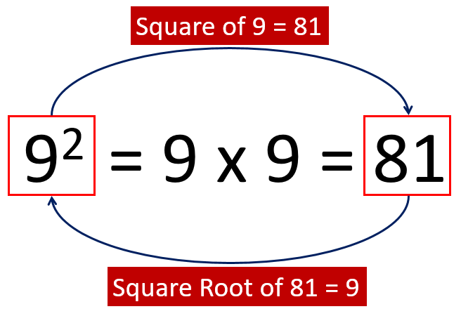 CBSE Class 8 Square And Square Roots cbse-class-8-square-and-square-roots