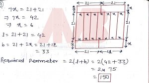 nmtc-2019-question-papers-with-solutions-primary-level-class-5-6