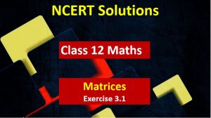NCERT Solutions for Class 12 Maths