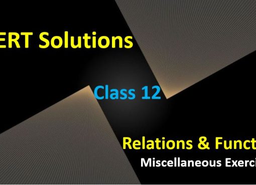NCERT Solutions for Class 12 Maths Relations and Functions Exercise Miscellaneous