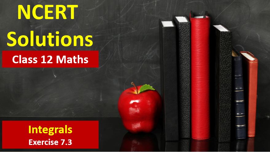 NCERT Solutions for Class 12 Maths Integration