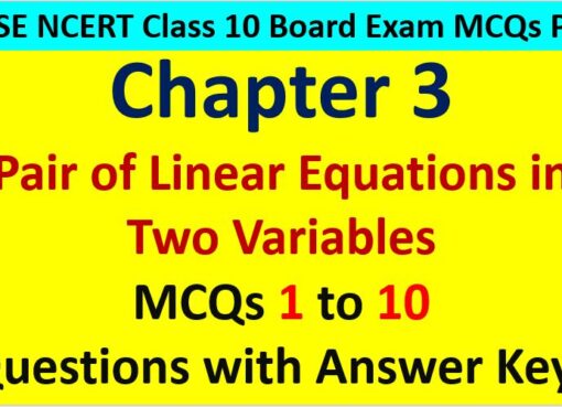 MCQ Questions for Class 10 Maths Chapter 3 Linear Equations in Two Variables 1 to 10 with Answer Keys PDF AMBiPi