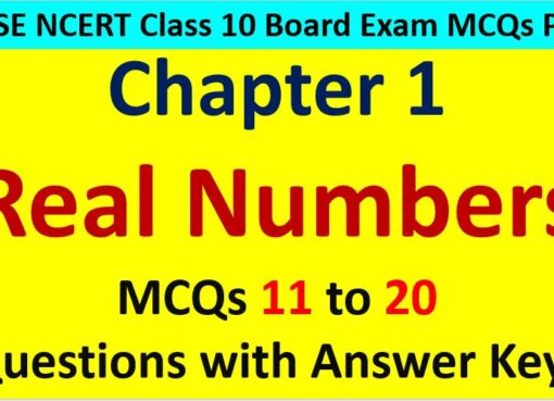 Real Numbers Class 10 Maths MCQ 11 to 20 with Answer Keys Solutions PDF Download